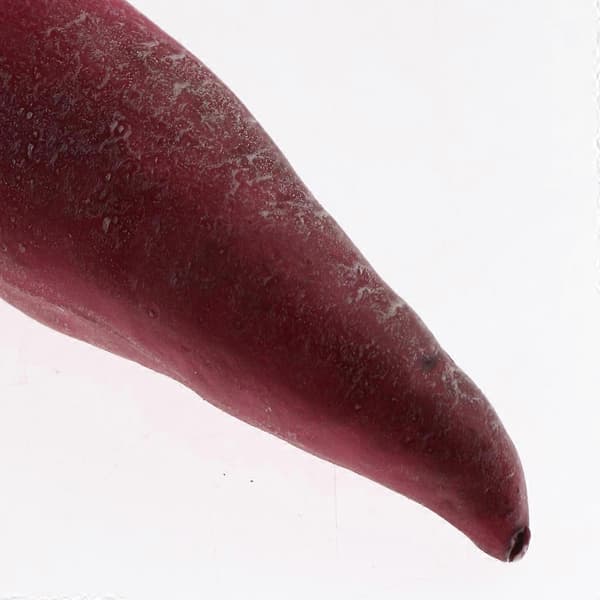 Simulerad Grönsaksmat Dekorativ Matutställning - Perfekt Sweet Potato