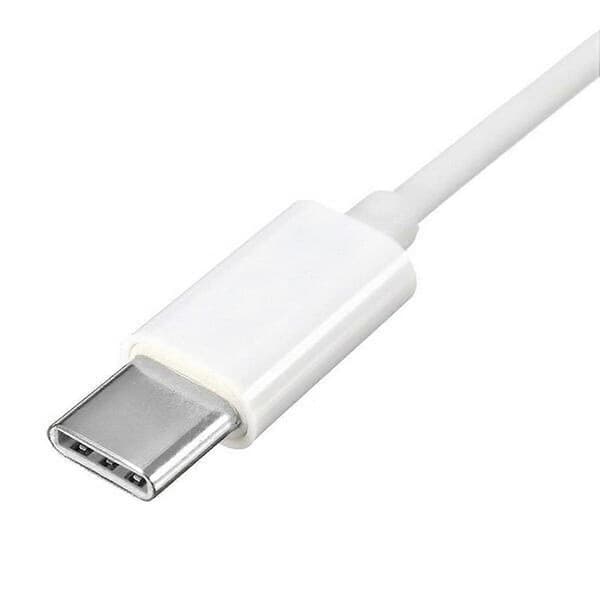 2025 Senaste Modell Kompatibel med Apple 30pin Hona till USB 3.1 Type-C USB-C Synk Data Laddningsadapter Kabel-Perfet