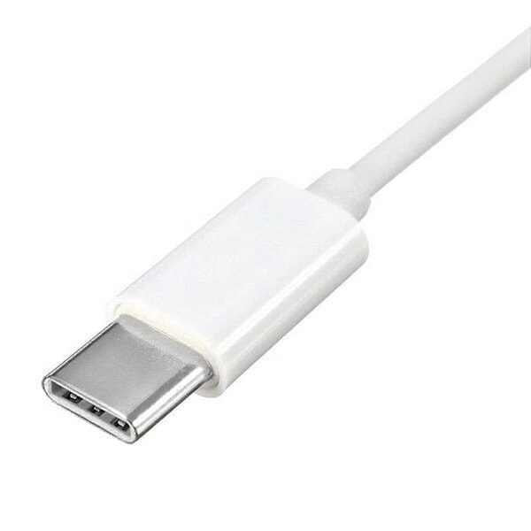 2025 Seneste Model Kompatibel med Apple 30pin Hun til USB 3.1 Type-C USB-C Synkroniserings Data Oplader Adapter Kabel - Perfet