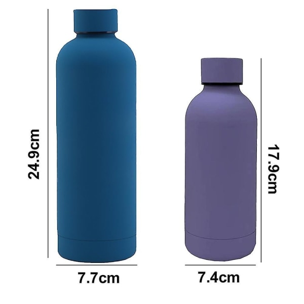 2-pakkainen vesipullo ruostumatonta terästä - Termospullo - Urheilupullo metallia - Perfet Purple*Blue