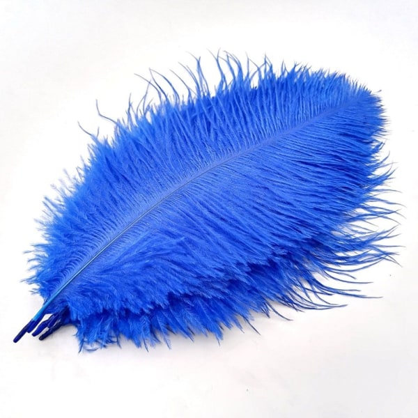 Strutsin höyhenet Kevätasusteet BLUE - Perfet