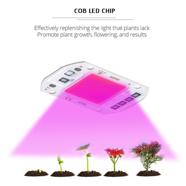 Bulb Chip Grow Lights HVID - Perfet White50W 220V