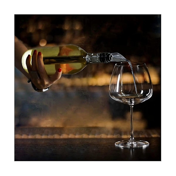 2 st Vin-kylare Vin-kylare Rostfritt Stål Vin-kylare Stick Vin-karaff med Vin-luftare-Perfekt