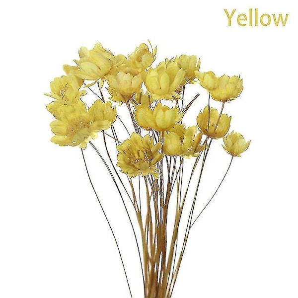 30 stk. Daisy Små Stjerne Tørrede Blomster Buket Bevar Blomst til Bryllup Dekoration-Perfet Yellow