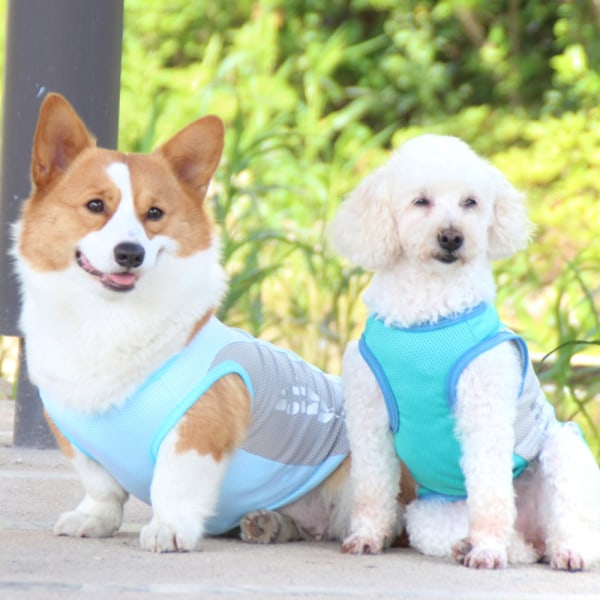 Perfekta hundklänningar för små hundar Söt flicka kvinnlig hundklänning mamma - Perfet XL