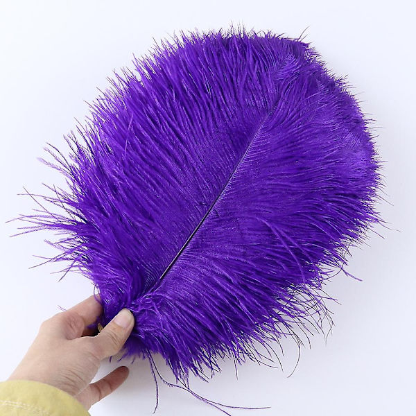 10 stk Naturlige Sorte Strudsefjer til Håndværk Bryllup Hjem Dekoration 15-20cm/25-30cm/30-35cm Fest Strudsefjer Midtpunkt-Perfekt dark purple