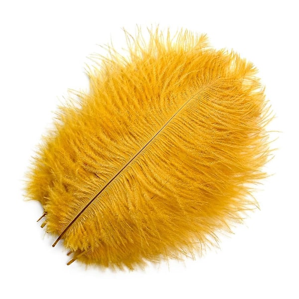 10 stk Naturlige Sorte Strudsefjer til Håndværk Bryllup Hjem Dekoration 15-20cm/25-30cm/30-35cm Fest Strudsefjer Midtpunkt-Perfekt golden