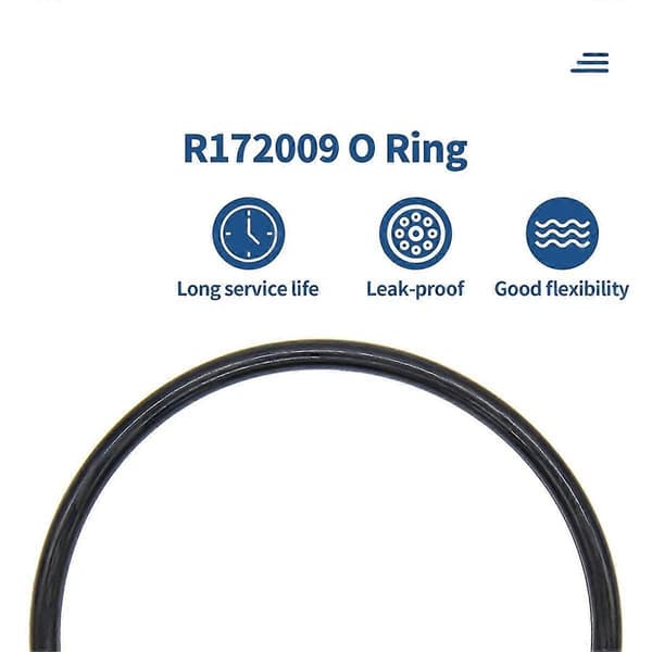R172009 O-ring Kompatibel med Modell 300/320 Pool- och Spa-klorinatorlock (6-pack) - Perfekt