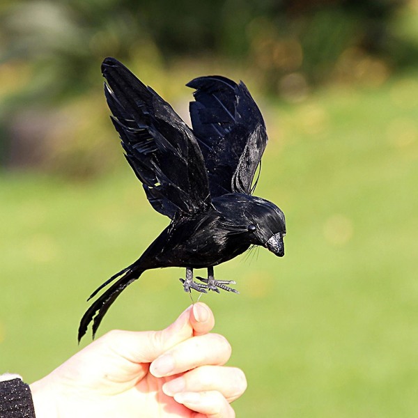 Keinotekoinen varis höyhen realistinen manuaalinen seisova/lentävä vaahto - Perfet