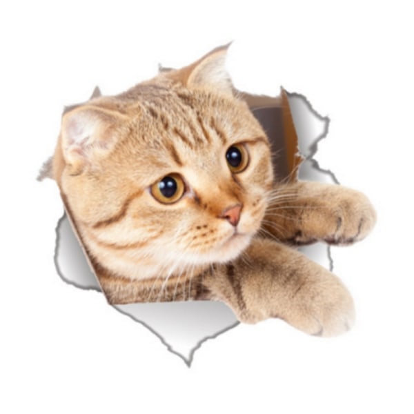 6 kpl 3D Cute Cat koristeellinen kylpyhuone seinätarrat, Broken Kitty - Perfet
