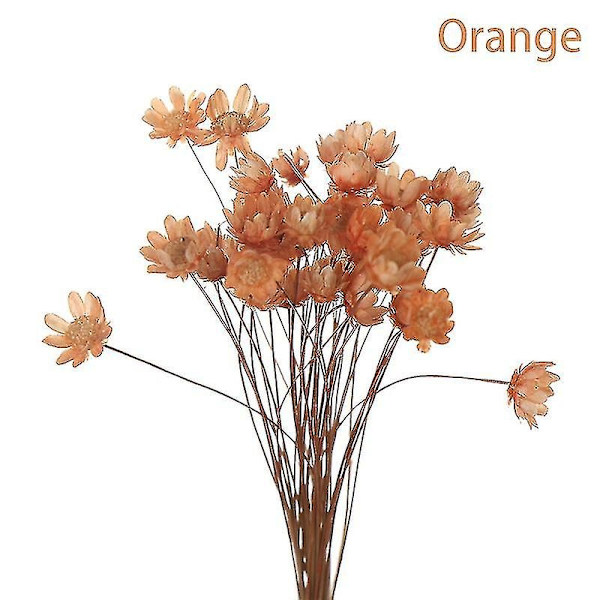 30 kpl Daisy Small Star Kuivattuja Kukkia Kimppu Säilytetty Kukkia Hääkoristeluun - Täydellinen Orange