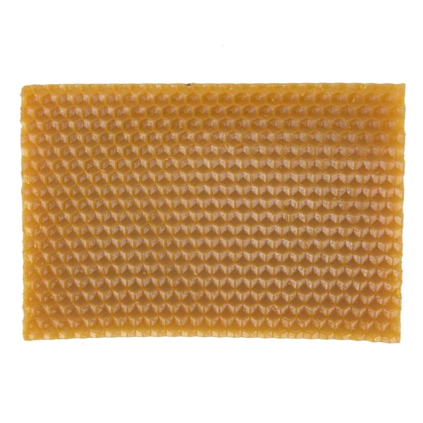 10 stk Yellow Honeycomb Foundation Bee Hive Wax rammer - Perfet