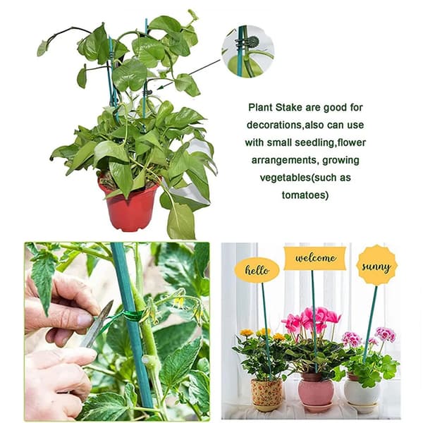 Växtstöd och Växtklämma 30cm Växtpinne, Grön Blompinne, Lämplig för Hemträdgård Klätterväxter Växtstöd Förlängning - Perfekt