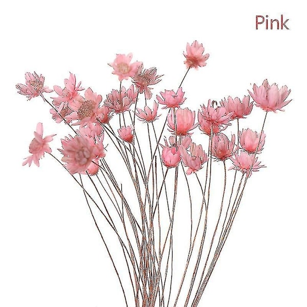 30 stk. Daisy Små Stjerne Tørrede Blomster Buket Bevar Blomst til Bryllup Dekoration-Perfet Pink