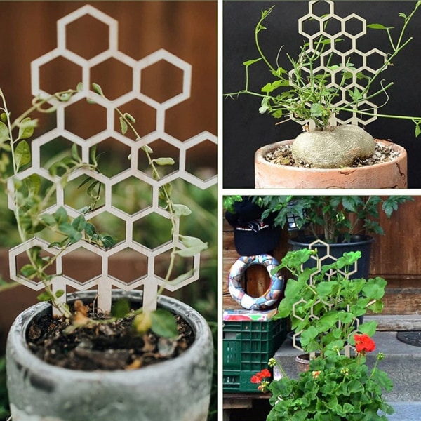 Trellis til pottede espalier indendørs træ honeycomb form - Perfet