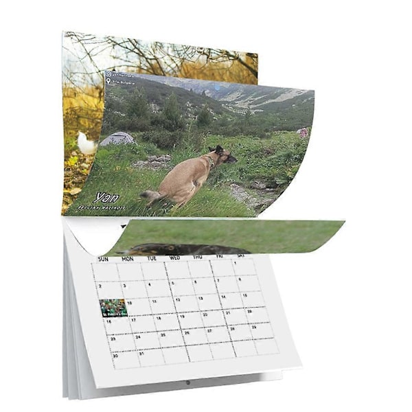 2025 Hundar Bajsar På Vackra Platser Kalender Rolig Hund Månadsväggkalender 12 Månader Planner Julskämt-Perfekt