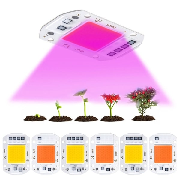 Bulb Chip Grow Lights VARMT VITA - Perfet Warm white50W 220V