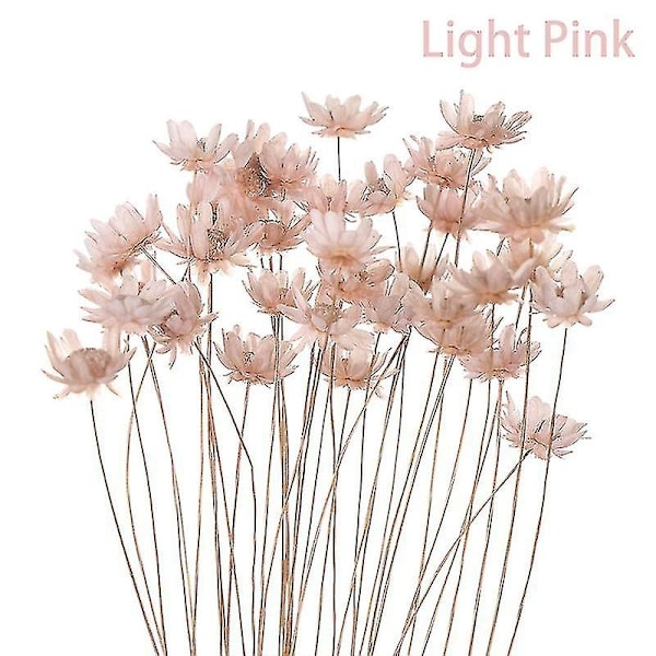 30 kpl Daisy Small Star Kuivattuja Kukkia Kimppu Säilytetty Kukkia Hääkoristeluun - Täydellinen Light Pink