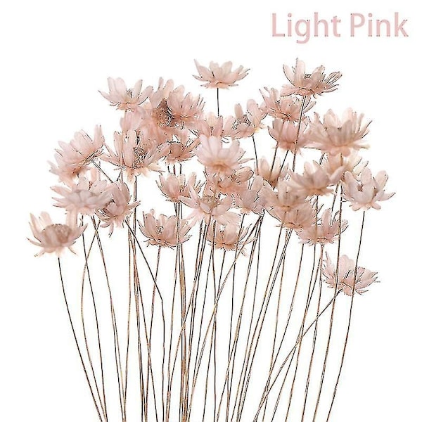 30 st Daisy Små Stjärnformade Torkade Blommor Bukett Konserverade Blommor för Bröllopsdekoration-Perfekt Light Pink