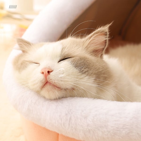 Blød varm katteseng aftagelig sødt design med en hængende hårbold-kæledyrsseng med skridsikker bund Pink Rabbit L