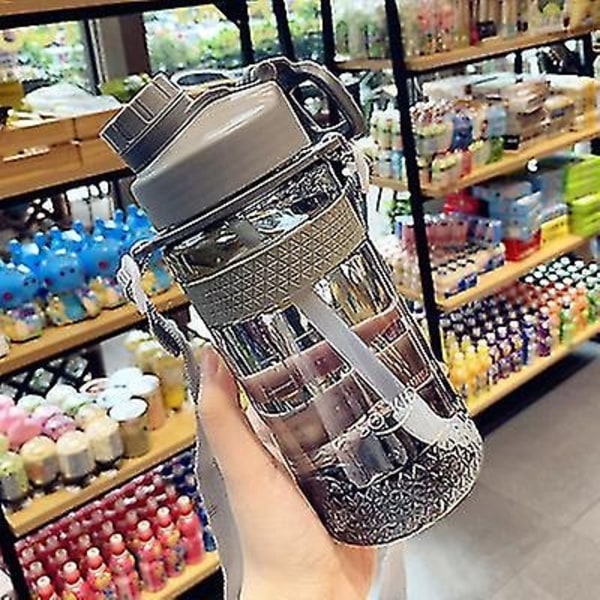 Water Straw Cup vuotamattomat Sippy Tumblers - Juice Cup Kannettava Sippy Tumbler suurella kapasiteetilla - Perfet Grey 650ML