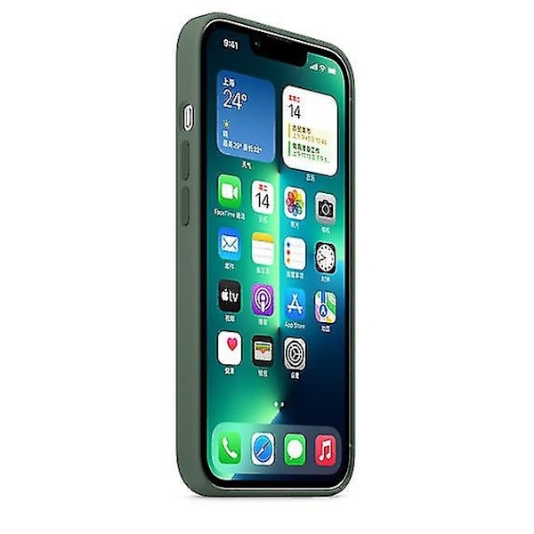 Silikonskal Kompatibelt med Iphone 13 Pro 13pro-Perfet Eucalyptus
