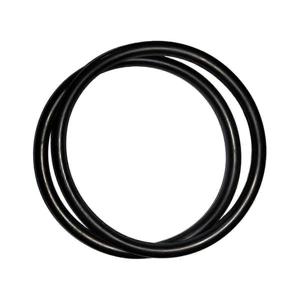 R172009 O-ring, kompatibel med model 300/320 pool- og spa-klorinatorlåg (6 stk.) - Perfekt