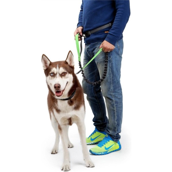 Hundesnor med justerbar taljebælte, hundeløbende joggingsnor - Perfet
