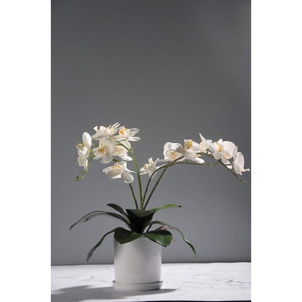 5-pack Phalaenopsis Orkidéer Blad Konstgjorda Rötter med riktig utseende Touch Växter Gröna konstgjorda blad Arrangemang - Perfet