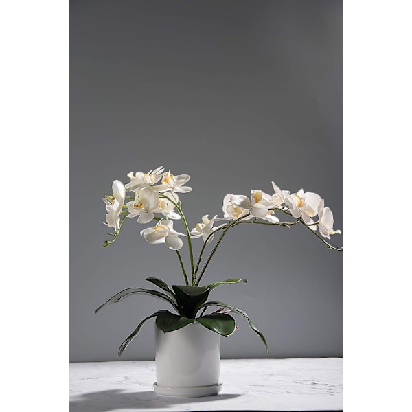 5-pack Phalaenopsis orkideer blader kunstig ekte utseende røtter Berøringsplanter Grønne kunstige blader Arrangement - Perfet