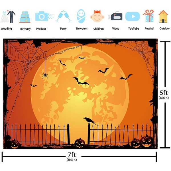 orange Halloween nattfotobakgrund - pumpaspindel - Perfet