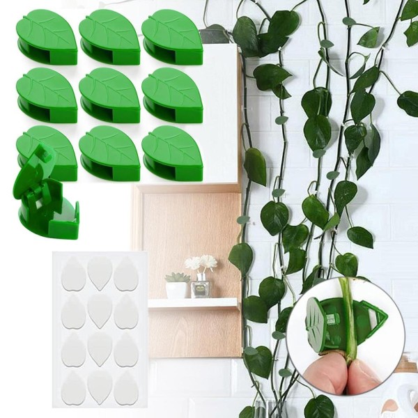 Selvklebende planteholder veggfester for klatreplanter 40-Pack - Perfet