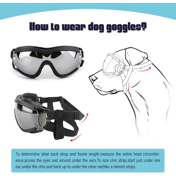 Hundebriller UV-beskyttelse Vanntett vindtett øyebeskyttelse - Perfet