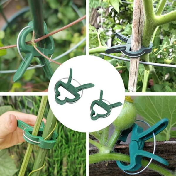 50 stk Tomatclips Trellis clips 6CM X 4,5CM - Perfet 6cm x 4.5cm