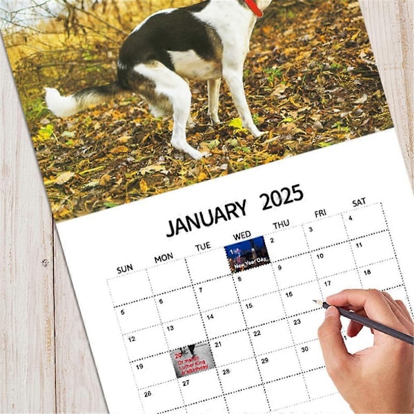 2025 Hundar Bajsar På Vackra Platser Kalender Rolig Hund Månadsväggkalender 12 Månader Planner Julskämt-Perfekt