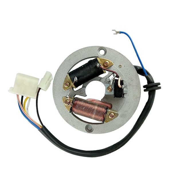 Stator og Rotor Assy Kompatibel med Yamaha Pw80 2003-2011 Peewee 80-Perfekt