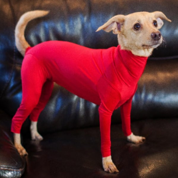 Lemmikkitakki Koiran Body Stretch Four Leg Shirt Vaatteet Haalari - Perfet red M