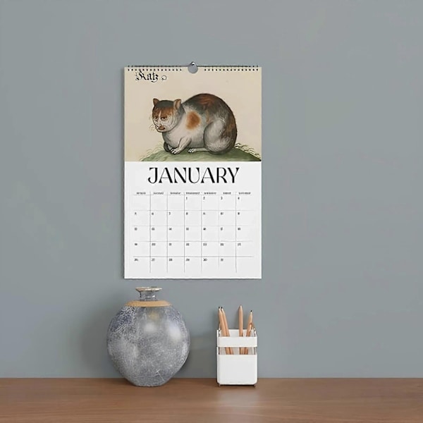 Stygg Middelalderkatt Kalender - Merkelig Middelalderkatt Veggkalender 2025 | 12 Måneder Stygg Middelalderkatt Kalender | Middelalderkatt Veggkalender - Perfekt 3pcs