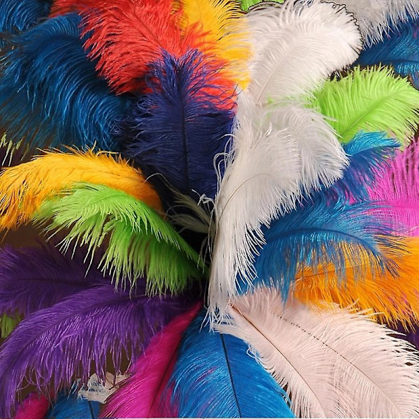 10 stk Naturlige Sorte Strudsefjer til Håndværk Bryllup Hjem Dekoration 15-20cm/25-30cm/30-35cm Fest Strudsefjer Midtpunkt-Perfekt Shrimp powder 05