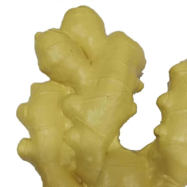 Simuleret Grøntsagsmad Dekorativ Mad Display - Perfekt Ginger
