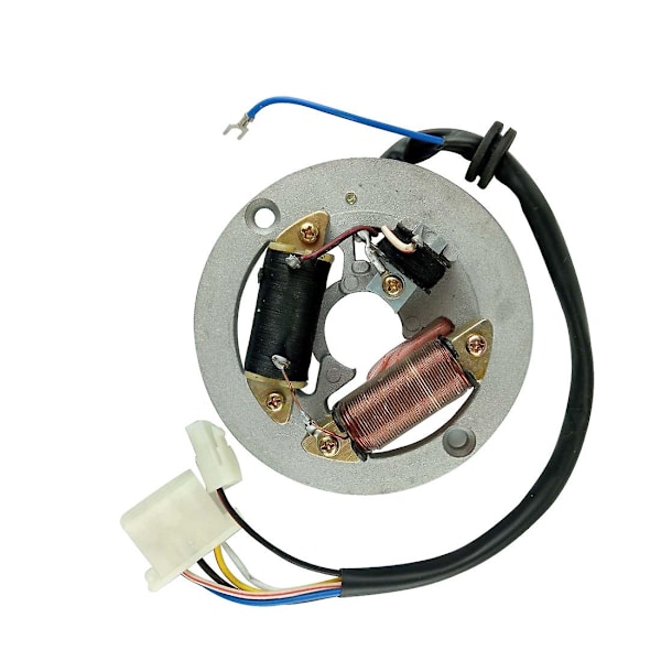 Stator og Rotor Assy Kompatibel med Yamaha Pw80 2003-2011 Peewee 80-Perfekt