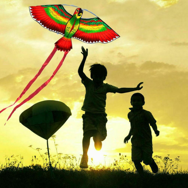 Flying Kite String Drake Med Plasthandtag - Perfet