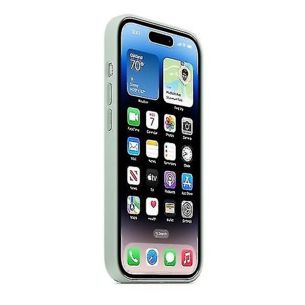 Silikonskal Kompatibelt med Iphone 14pro-Perfekt Succulent