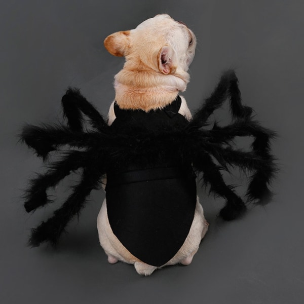 rolig hundspindel kostym för Halloween jul Cosplay temafest kostym - Perfet M