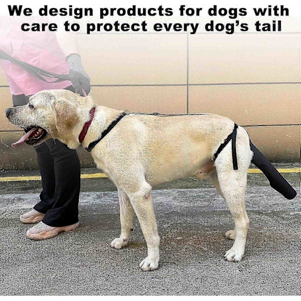 Halebeskytter for hund, halebeskyttelse for hund, halebeskyttelse for sår, svart hundesele - Perfekt