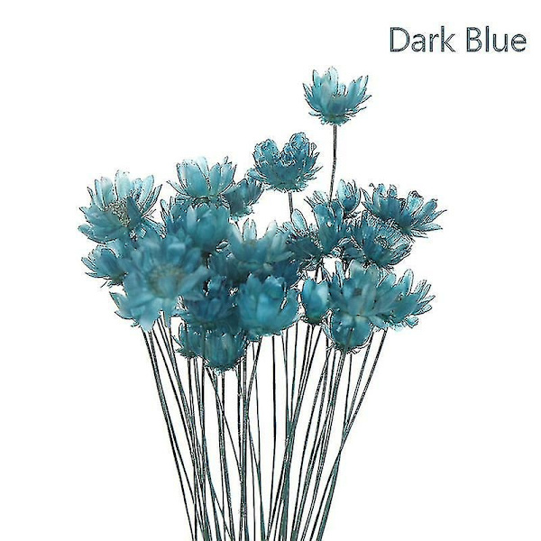 30 kpl Daisy Small Star Kuivattuja Kukkia Kimppu Säilytetty Kukkia Hääkoristeluun - Täydellinen Dark Blue