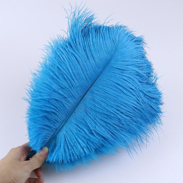 10 stk Naturlige Sorte Strudsefjer til Håndværk Bryllup Hjem Dekoration 15-20cm/25-30cm/30-35cm Fest Strudsefjer Midtpunkt-Perfekt Lake Blue