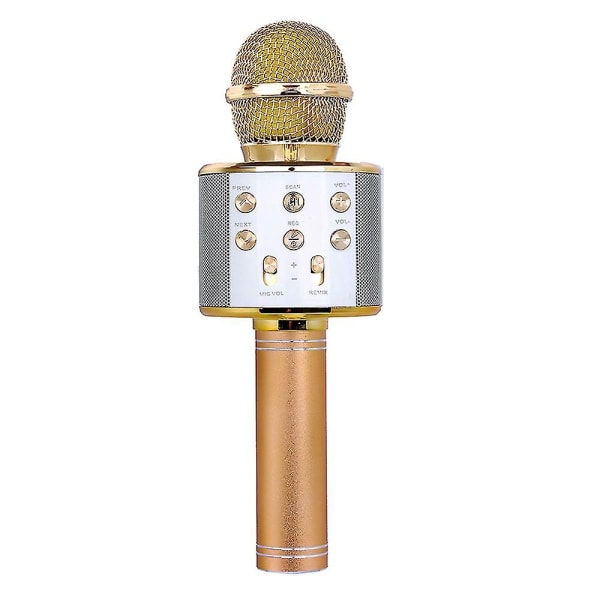 Profesjonell Bt trådløs mikrofon Karaoke høyttaler Ktv Musikkspiller Vokalopptaker Håndholdt mikrofon Gull--gull - Perfet