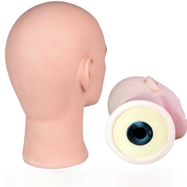 Skaldet mannequin hovedmodel til mænd, parykdisplaystand til briller, parykfremstilling - Perfekt
