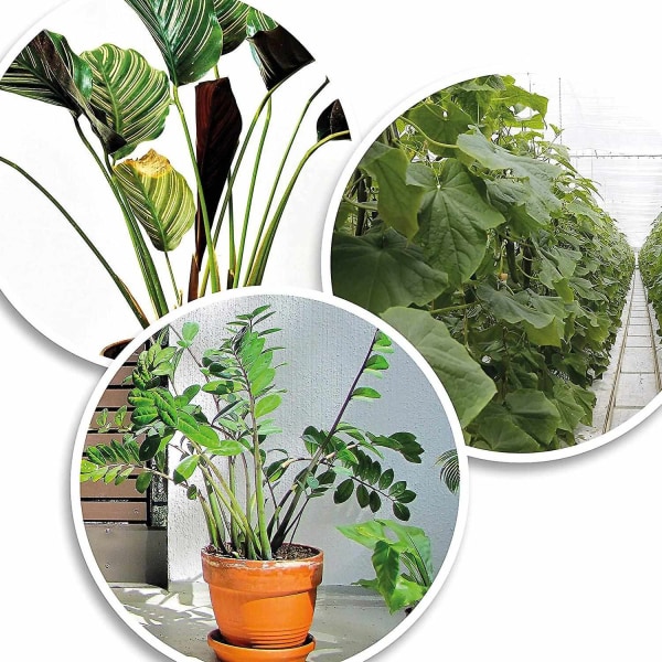 200 st Gröna växtslipsar i plast Återanvändbara buskband Stabila klätterstöd för växter Trädgårdsredskap - Perfet